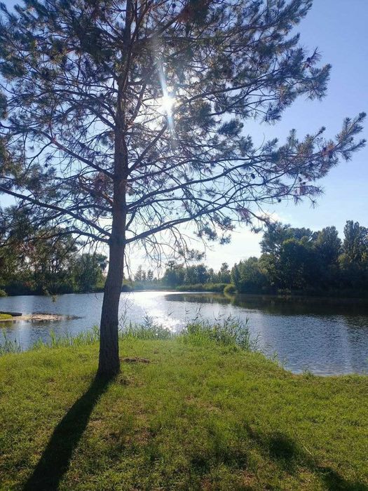 Продажа дачі в СТ Славутич с.Коробівка