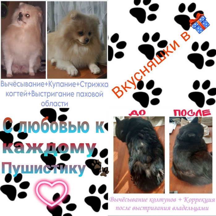 Грумер.стрижка животных.кроликов.груминг.услуги для животных вычёсыван