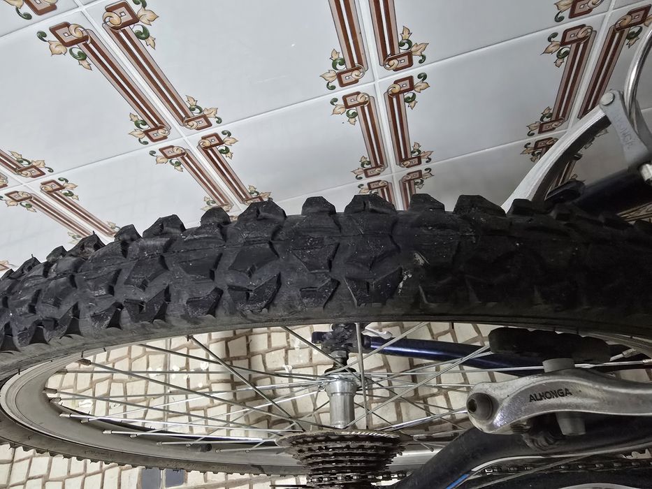 Bicicleta montanha