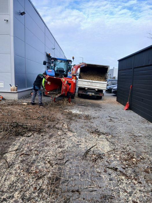 Wycinka przycinka pielegnacja drzew zwyzka