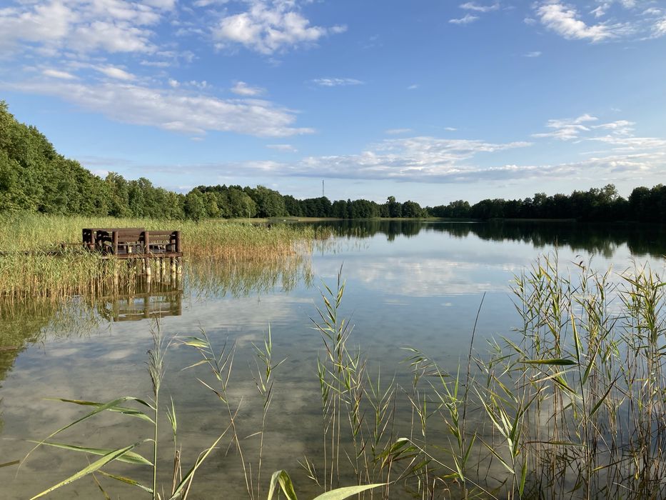 Domek nad jeziorem do wynajecia