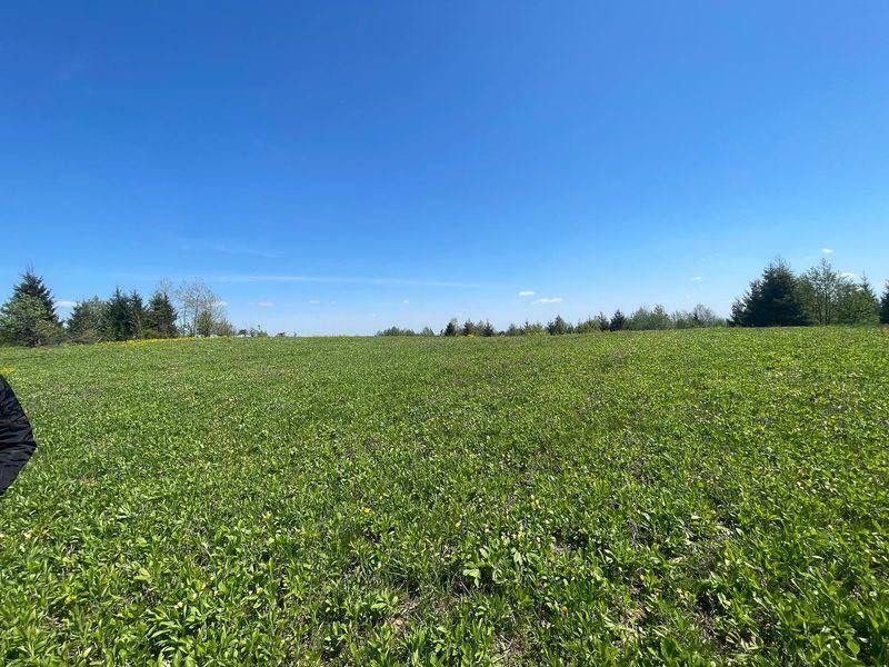 Продам земельну ділянку в с.Мигово