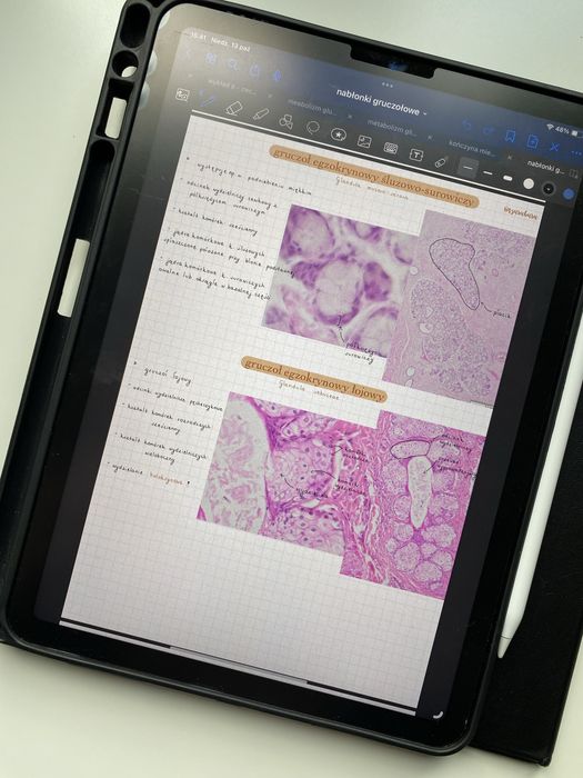 Histologia - notatki z pierwszego roku, dostęp do dysku