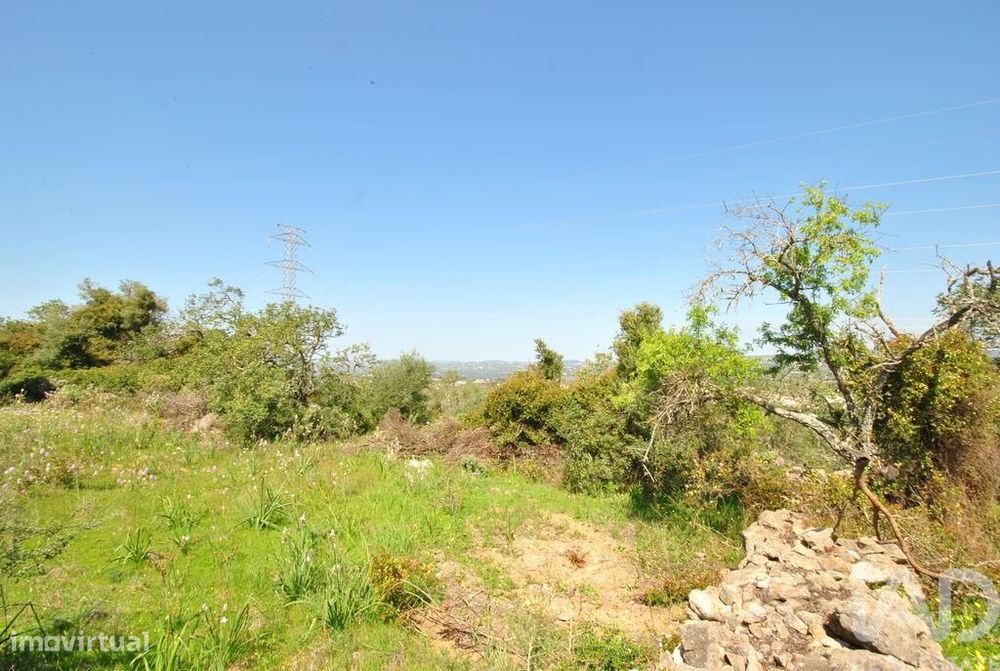 Terreno Agrícola em Paderne