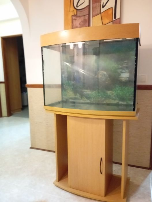 Aquário com móvel e acessorios