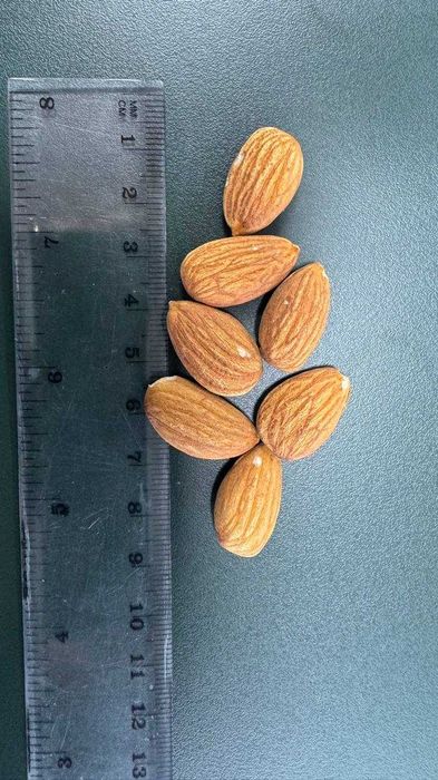 Миндаль Нонпарель золотой сырой. ОПТ Мешки 25 кг/биг-бэг 800–1000 кг.