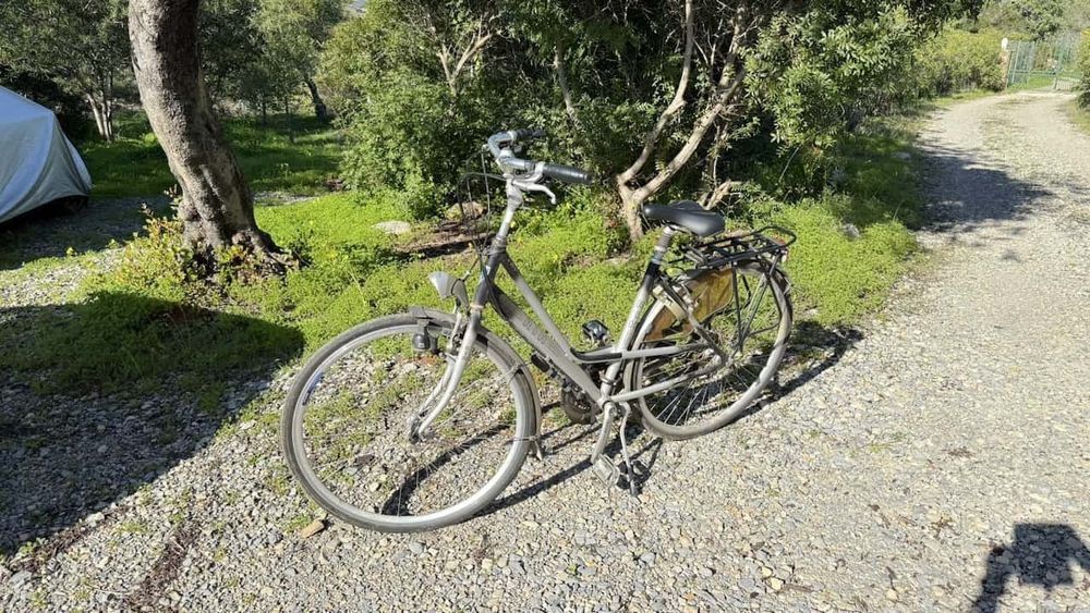 Bicicleta urbana, RIH Z 800