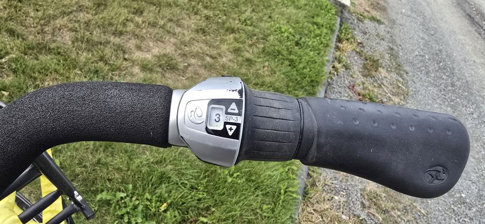 Rower holenderski Batavus młodzieżowy.