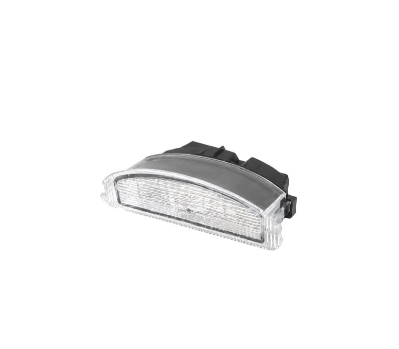 LUZ DE MATRÍCULA LED RENAULT TWINGO 07-14
