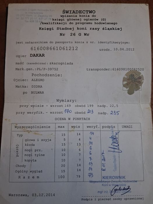 Ogier Dakar Stanówka