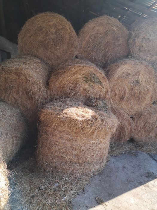 Sprzedam siano w belach 120×120