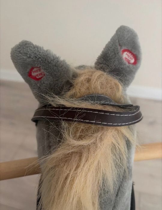 Konik na biegunach
