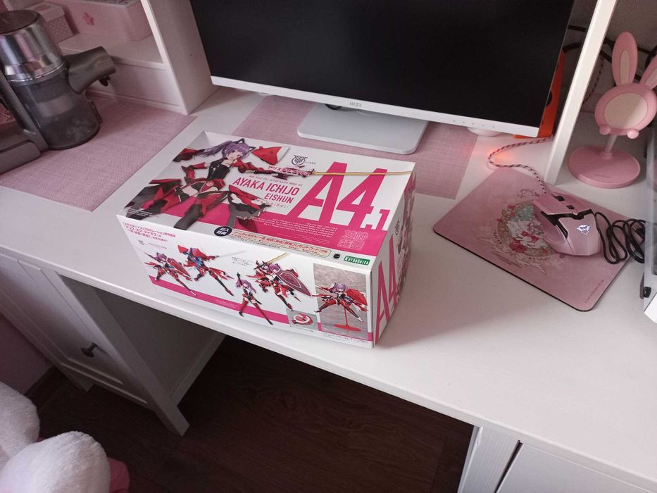 Model do składania Alice Gear Aegis - Ayaka Ichijo (Ei-shun)