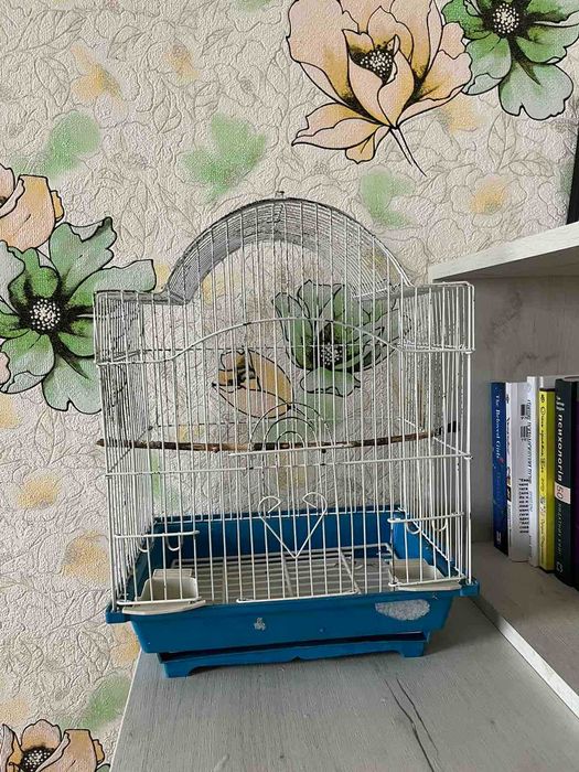 продам клітку для папуги