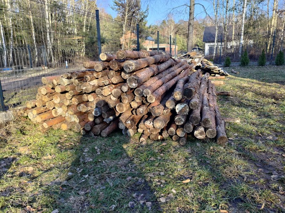 Stemple drewniane długość 300 - 330