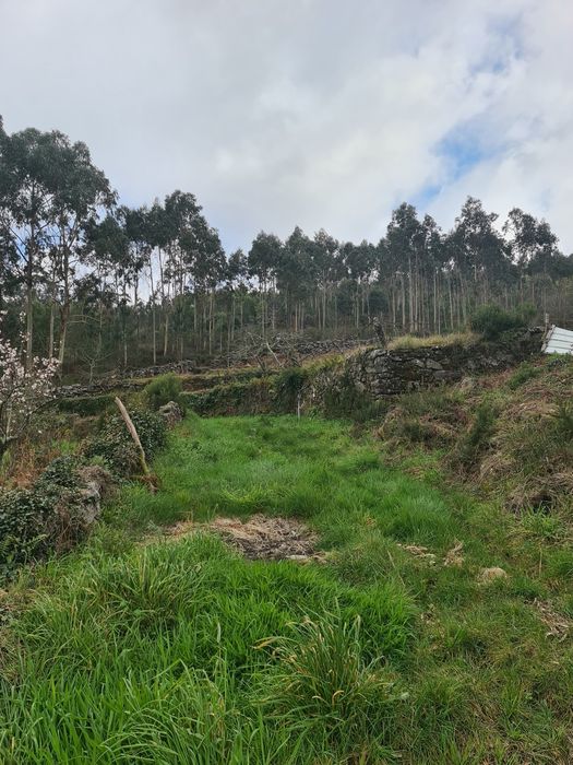 Quinta Agrícola a 5 minutos da A25