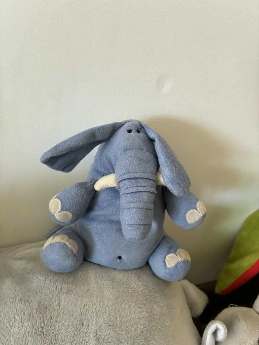 duża rodzinka słoni