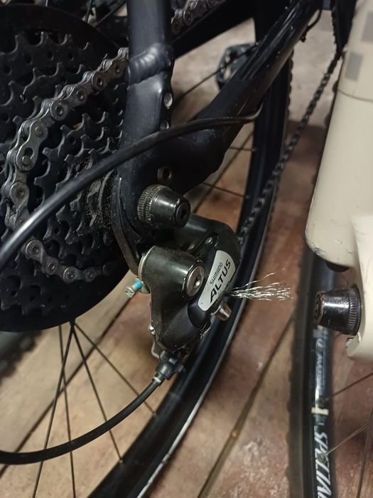 Rower Specialized