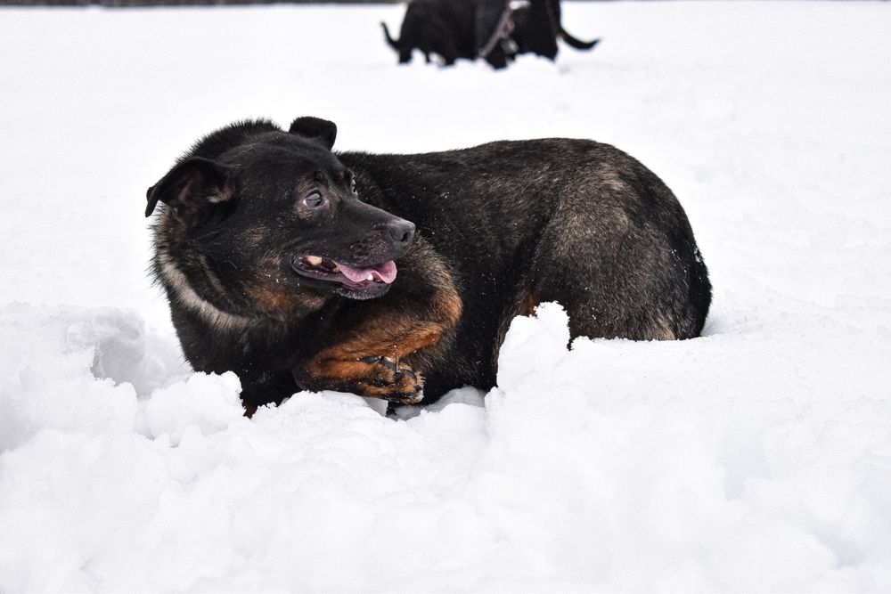 Zrobiła ogromne postępy! Szuka kochającej Rodziny!