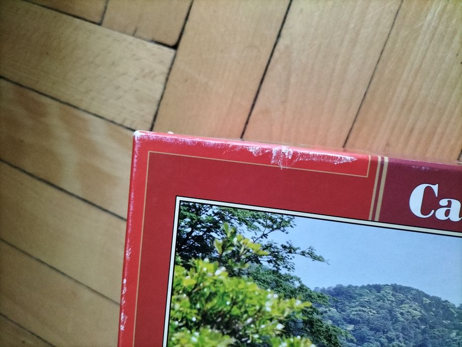 Puzzle Casterland