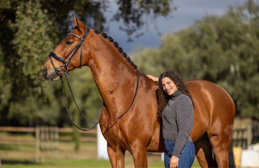 NOUGAT DA SILVEIRA ! FOR SALE !