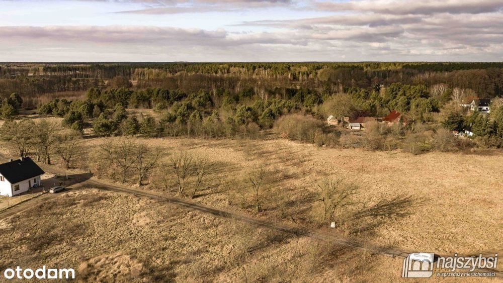 Krępsko - działka 3000 m2 otoczona naturą