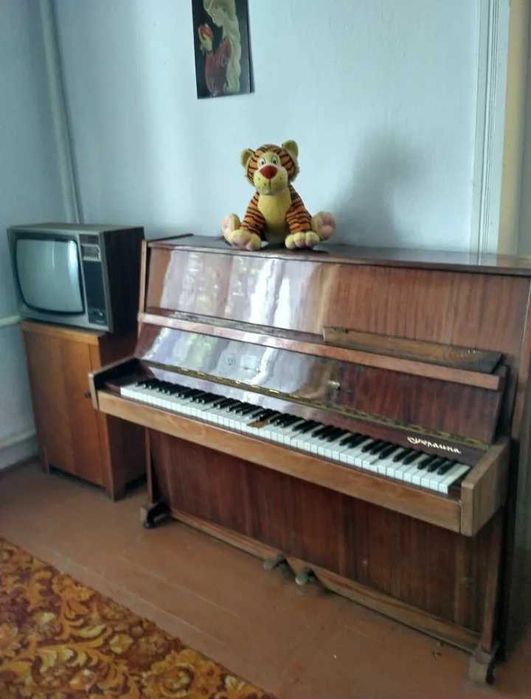 Два будинки в місті на 7 сотках - ідеально для щастя родини