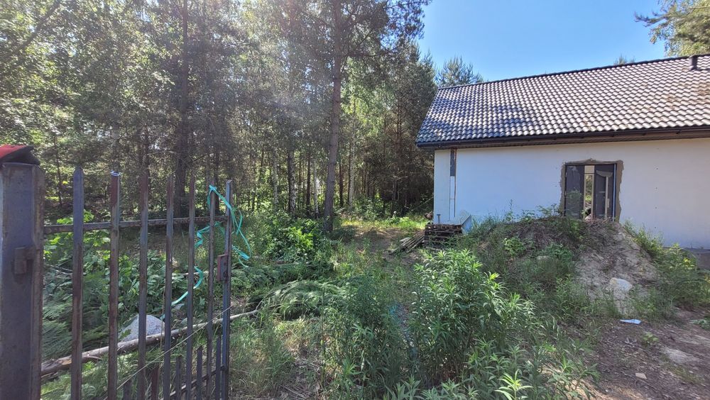 Wycinka drzew, pielęgnacja ogrodu , przygotowanie terenu pod budowe