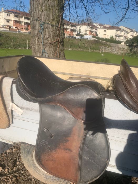 Celas para cavalos e acessórios