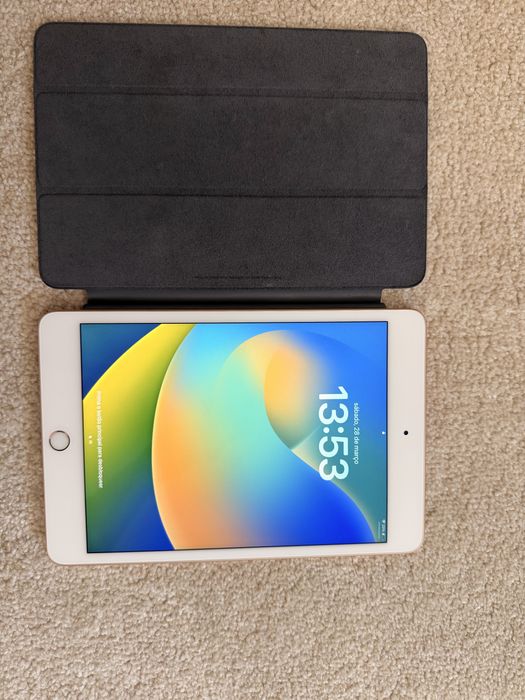 Ipad mini 5geração