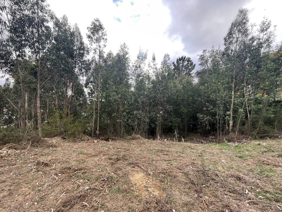 Terreno Alfena com 545m2