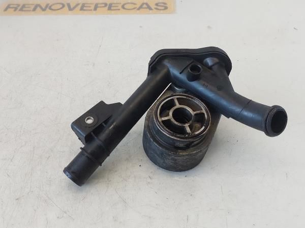 Radiador do óleo RENAULT Clio III (BR0/1, CR0/1)