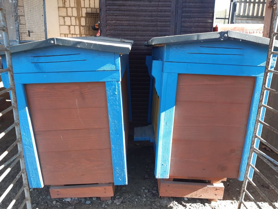 Ule warszawskie poszerzone