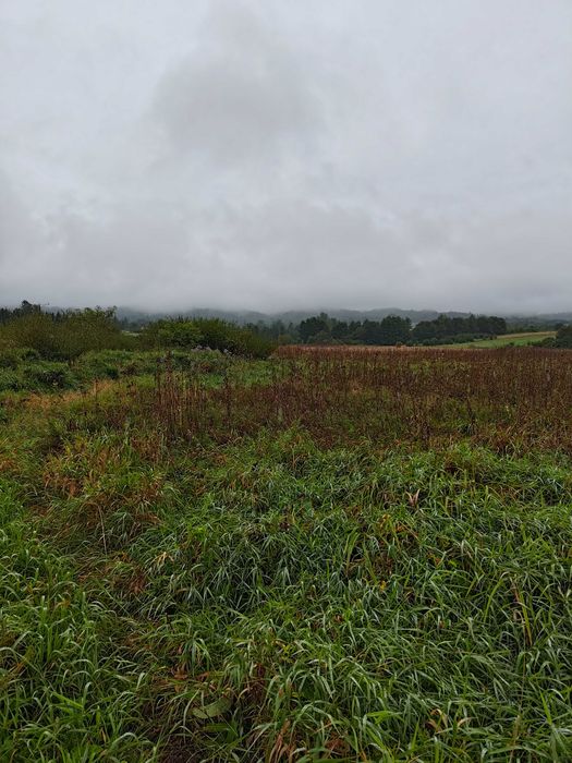 Sprzedam działki 1.75h