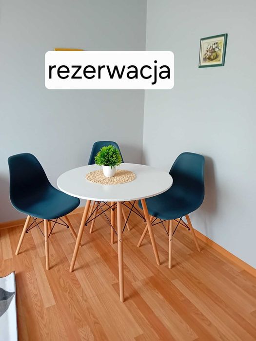 mieszkanie do wynajęcia