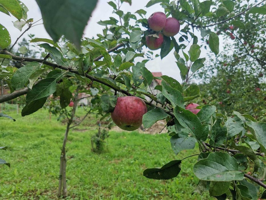 WOLNE Apartamenty nocleg Kęty jacuzzi SAUNA