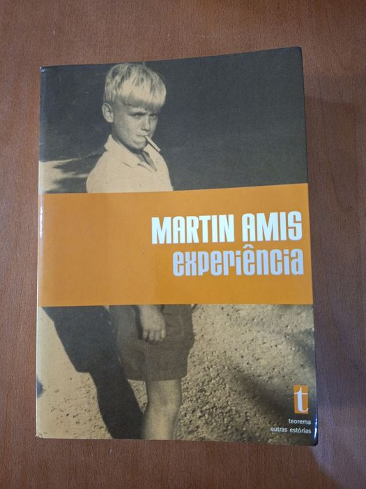 Martin Amis Experiência