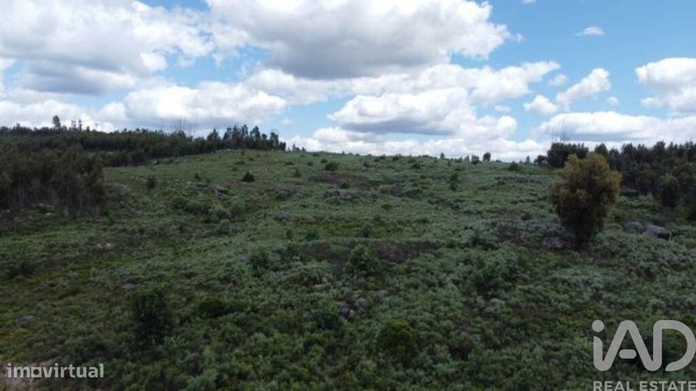 Terreno para construção em Seixo da Beira de 48000,00 m2