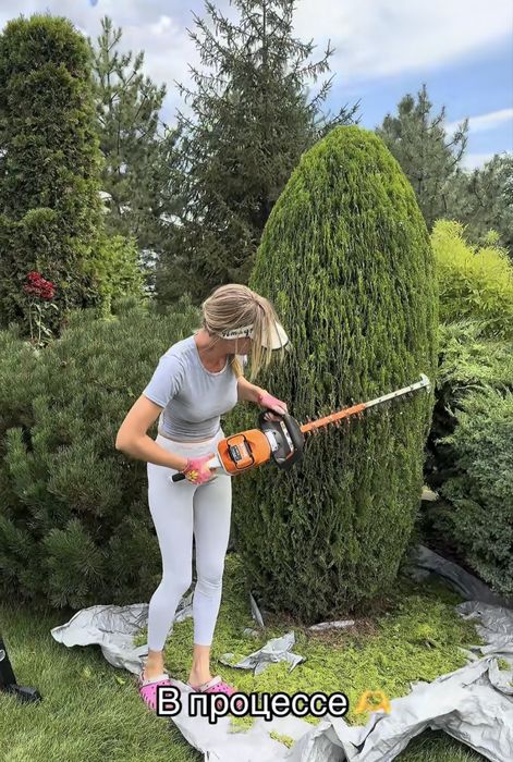 Садовник, уход за участком,стрижка растений