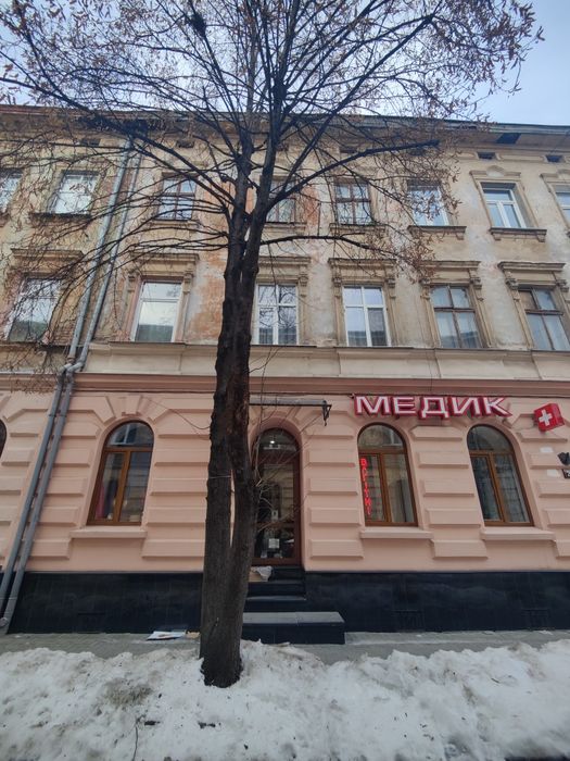 Продаж Комерція вул.Куліша Центр Фасад 3 вікна+ Двері,ц.160000 у.о