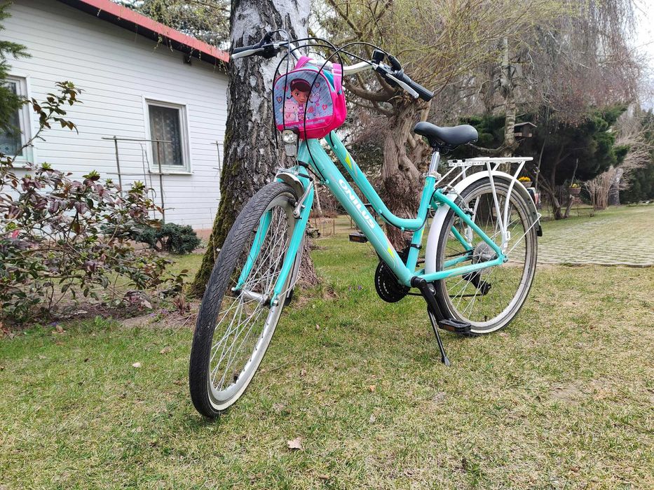 Rower dla dziewczynki dziecka.