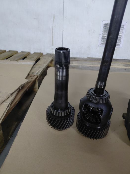 Роздатка фрілендер 1