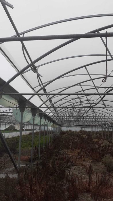 Estufas Agrícola com 4000 m2