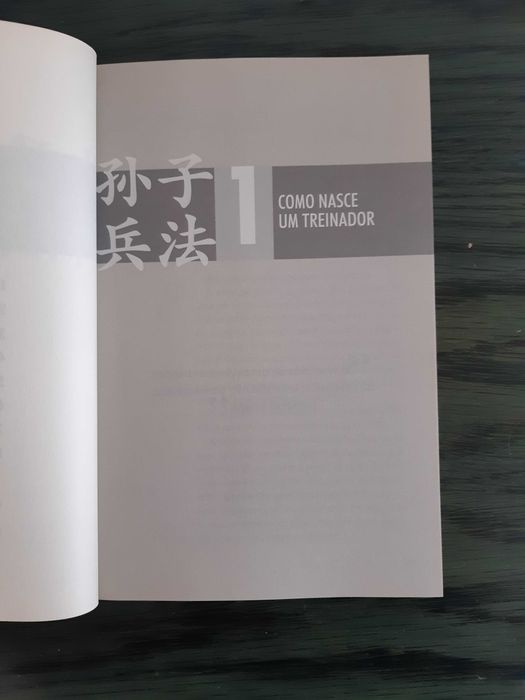 A arte da guerra para treinadores, Rui Vitória