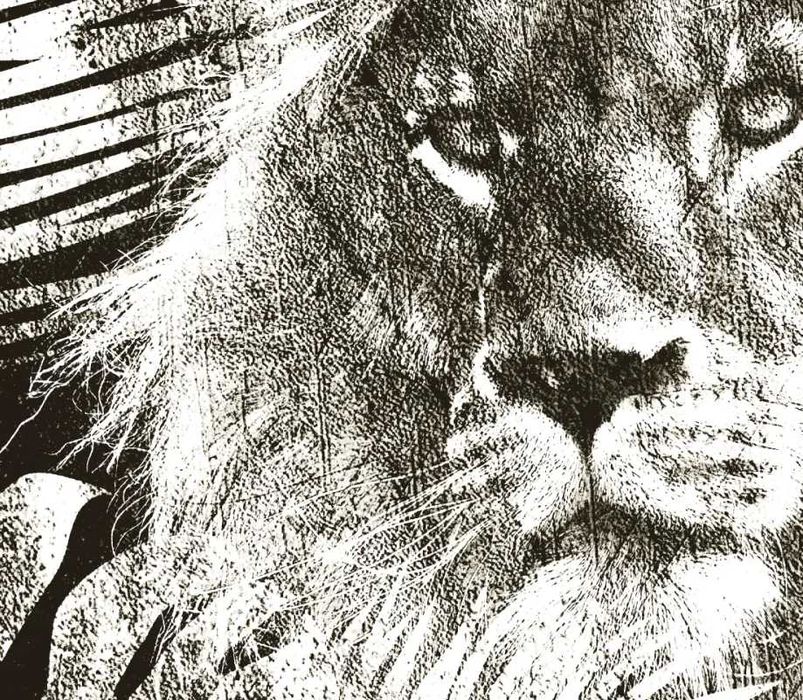 Wall Decor Decoração de Parede Autocolantes criativos