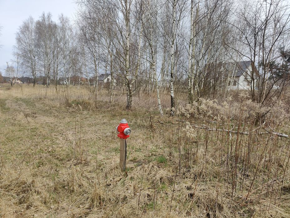 Działka budowlana 1095m Desno obok Cisie Halinów Krzewina