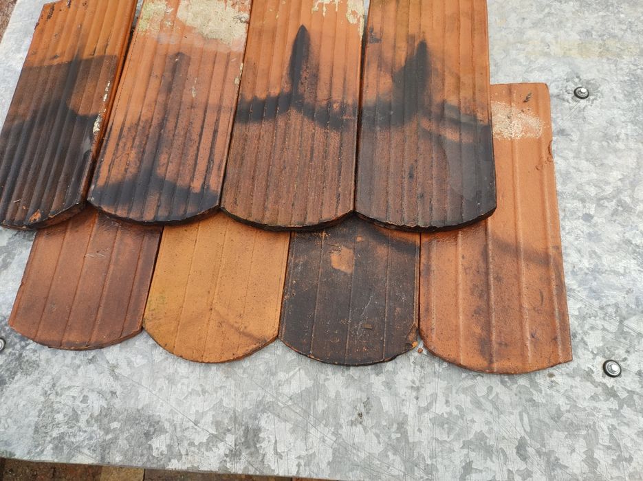 Dachówka ceramiczna, dach, karpiówka z rozbiórki