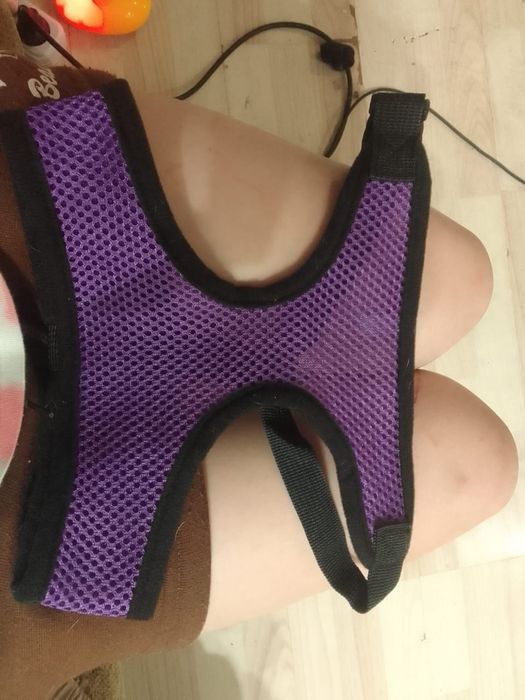 Продам шлейку без поводка