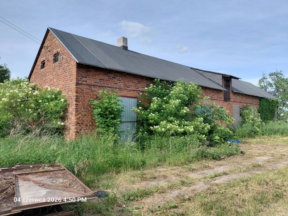 Sprzedam pole z starymi zabudowaniami.   5 ha kl 3a 3b ziemia rolna - Widok 5