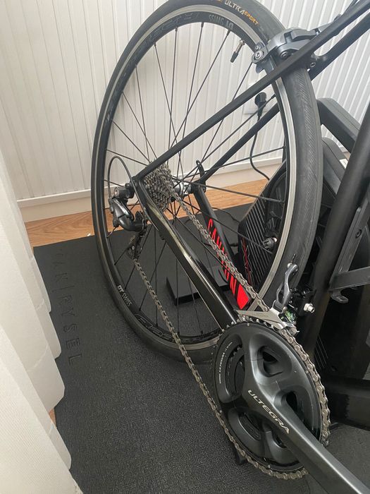 Canyon Endurace CF Carbono | Shimano Ultegra 11v | DT Swiss